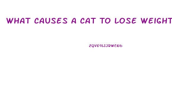 What Causes A Cat To Lose Weight