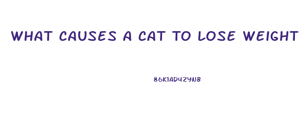 What Causes A Cat To Lose Weight
