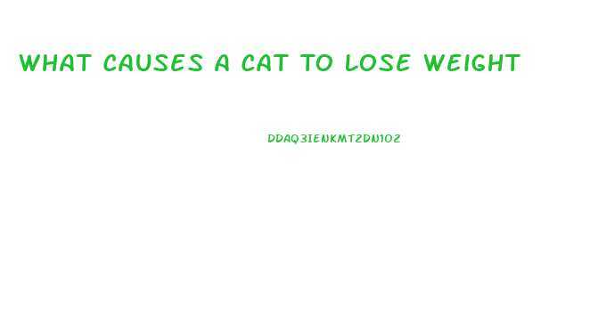 What Causes A Cat To Lose Weight