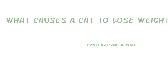 What Causes A Cat To Lose Weight