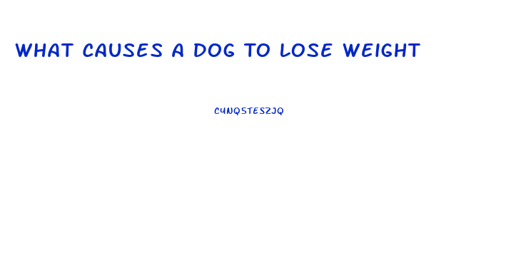 What Causes A Dog To Lose Weight