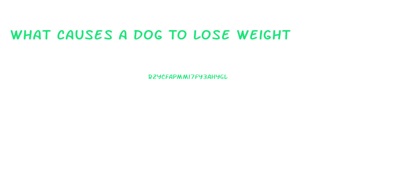 What Causes A Dog To Lose Weight