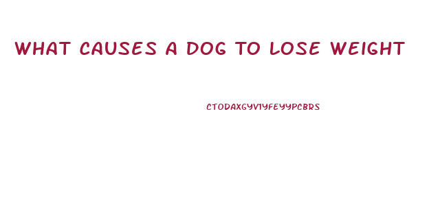 What Causes A Dog To Lose Weight