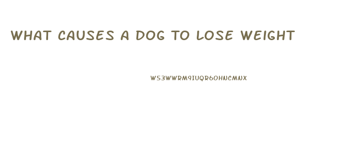 What Causes A Dog To Lose Weight