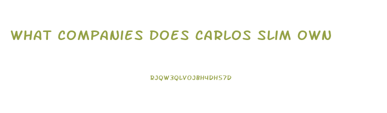 What Companies Does Carlos Slim Own