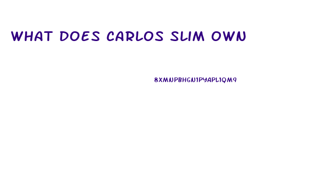 What Does Carlos Slim Own