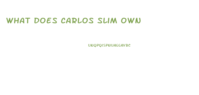 What Does Carlos Slim Own