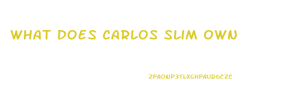 What Does Carlos Slim Own