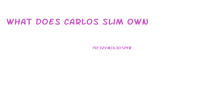 What Does Carlos Slim Own