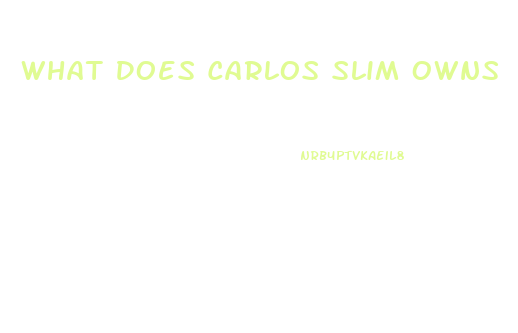 What Does Carlos Slim Owns