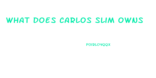 What Does Carlos Slim Owns