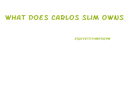 What Does Carlos Slim Owns