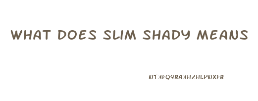 What Does Slim Shady Means