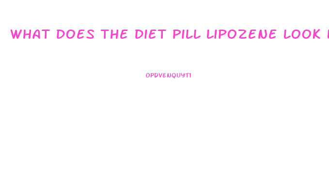 What Does The Diet Pill Lipozene Look Like