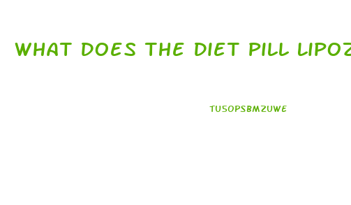 What Does The Diet Pill Lipozene Look Like