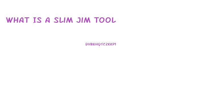 What Is A Slim Jim Tool