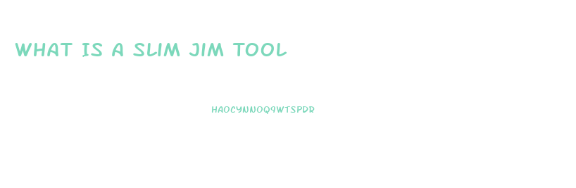 What Is A Slim Jim Tool
