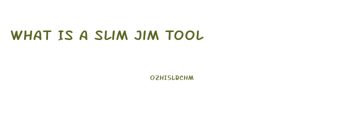 What Is A Slim Jim Tool