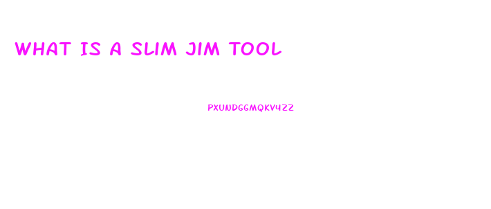 What Is A Slim Jim Tool