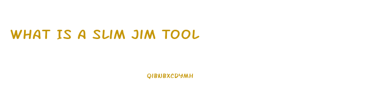 What Is A Slim Jim Tool