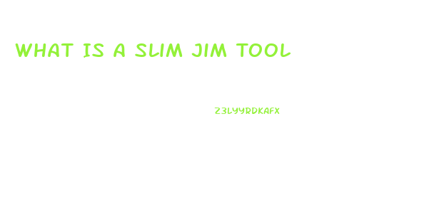 What Is A Slim Jim Tool