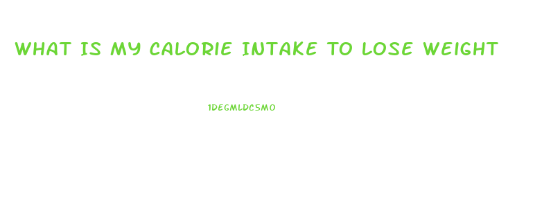 What Is My Calorie Intake To Lose Weight