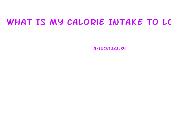 What Is My Calorie Intake To Lose Weight