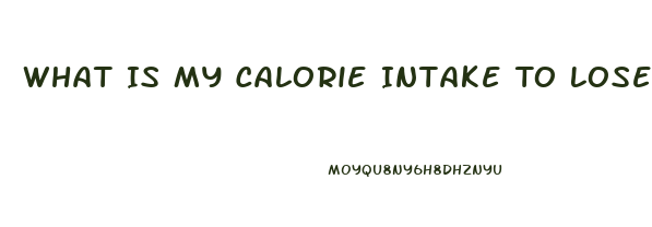 What Is My Calorie Intake To Lose Weight