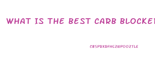 What Is The Best Carb Blocker For Weight Loss