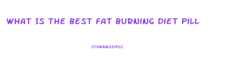 What Is The Best Fat Burning Diet Pill