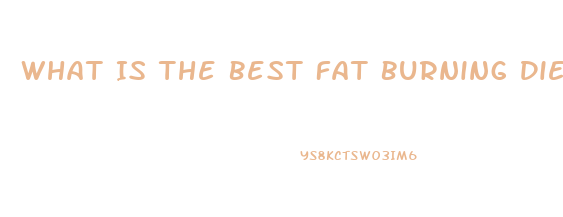 What Is The Best Fat Burning Diet Pill