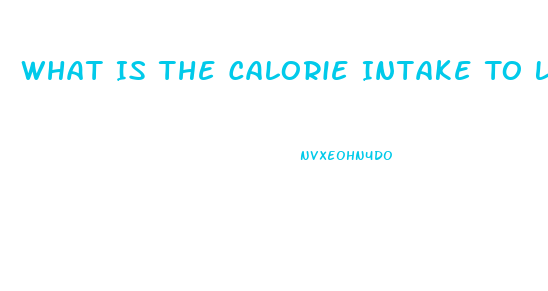 What Is The Calorie Intake To Lose Weight