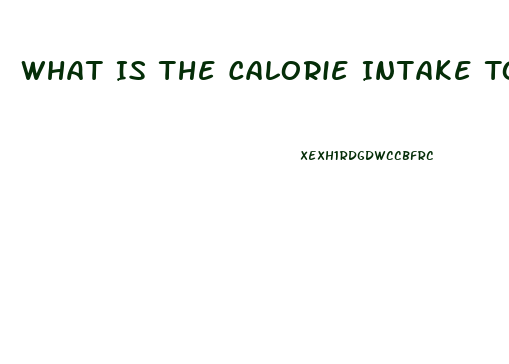 What Is The Calorie Intake To Lose Weight