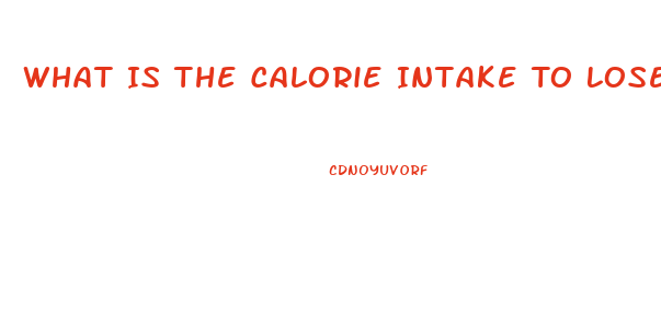 What Is The Calorie Intake To Lose Weight