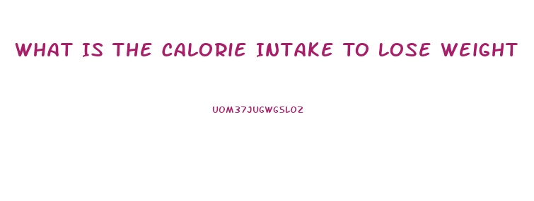 What Is The Calorie Intake To Lose Weight