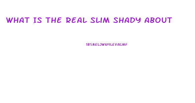 What Is The Real Slim Shady About