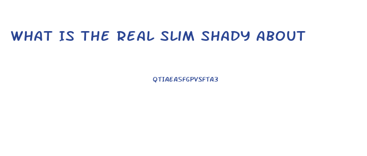 What Is The Real Slim Shady About