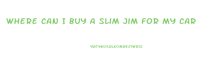 Where Can I Buy A Slim Jim For My Car