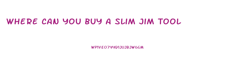 Where Can You Buy A Slim Jim Tool