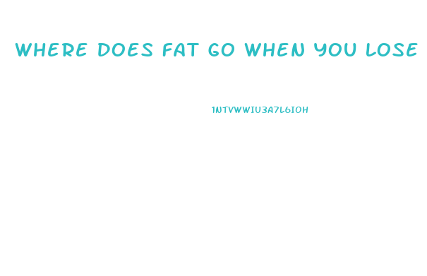 Where Does Fat Go When You Lose Weight