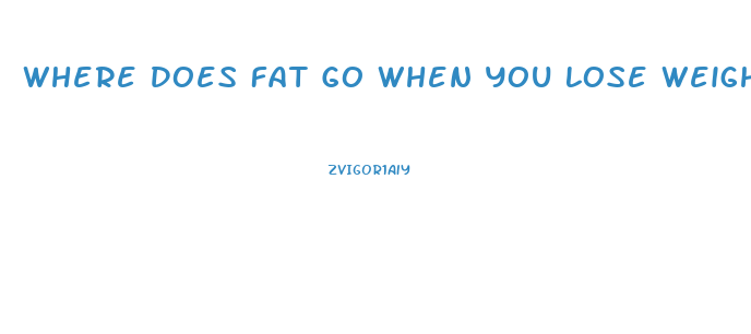 Where Does Fat Go When You Lose Weight