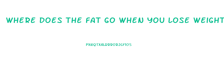 Where Does The Fat Go When You Lose Weight