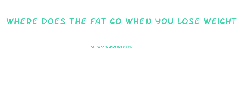 Where Does The Fat Go When You Lose Weight