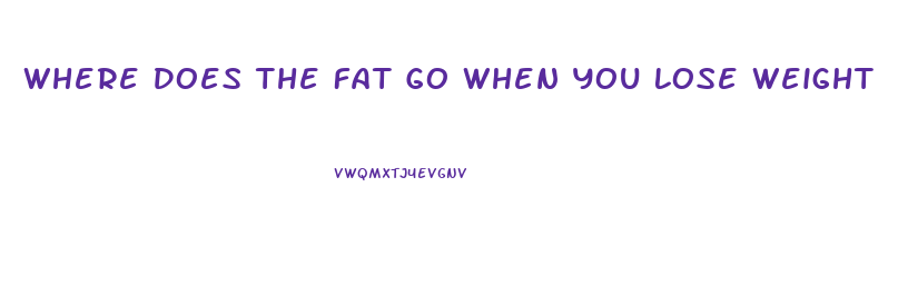 Where Does The Fat Go When You Lose Weight