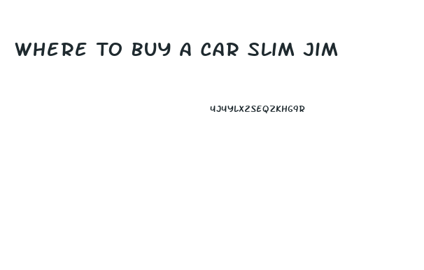 Where To Buy A Car Slim Jim