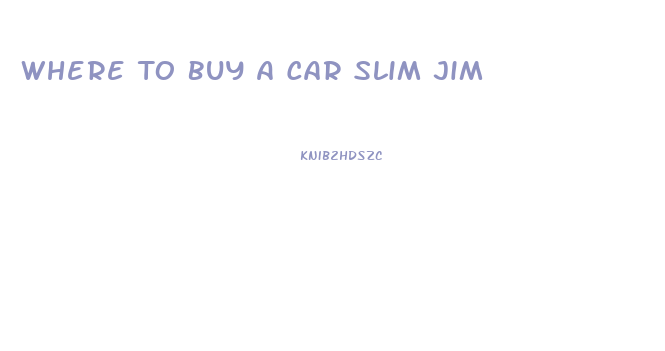 Where To Buy A Car Slim Jim