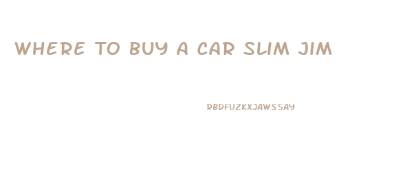 Where To Buy A Car Slim Jim