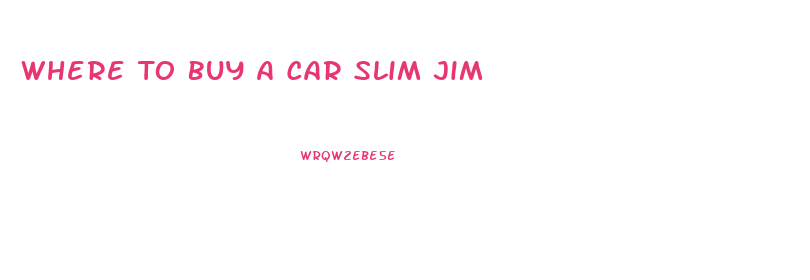 Where To Buy A Car Slim Jim