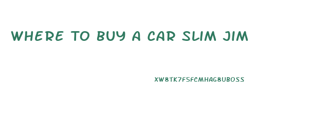 Where To Buy A Car Slim Jim