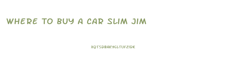 Where To Buy A Car Slim Jim